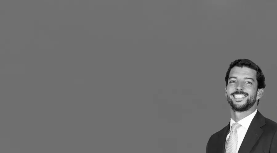 Luís Ribeiro Telles