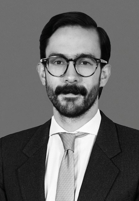Alejandro Cepeda Revollo