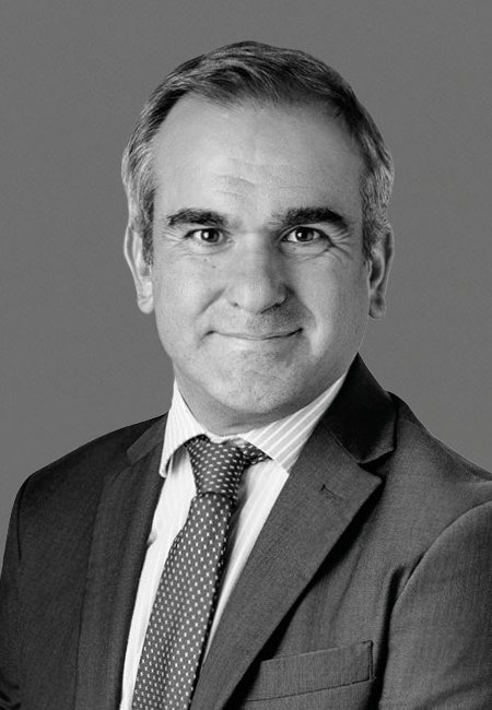Gonzalo Palacio