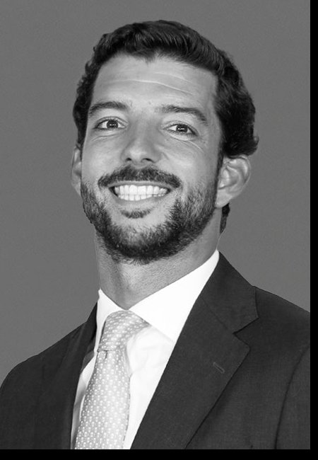 Luís Ribeiro Telles