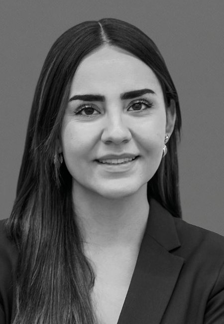 Mayda Alapi Guerrero