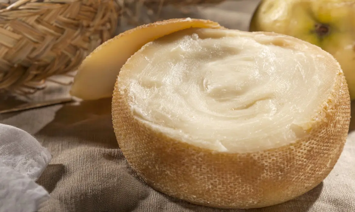 Revocation of trademarks in dairy sector