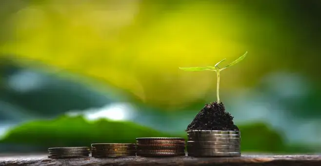  A CMPC emite uma nova obrigação verde no valor de 500 milhões de dólares