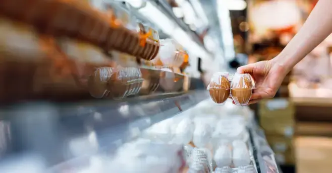  A Nutroca adquire 100% das ações da Avícola Triple A, líder na produção de ovos