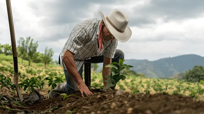 Reforma Tributaria | Agro