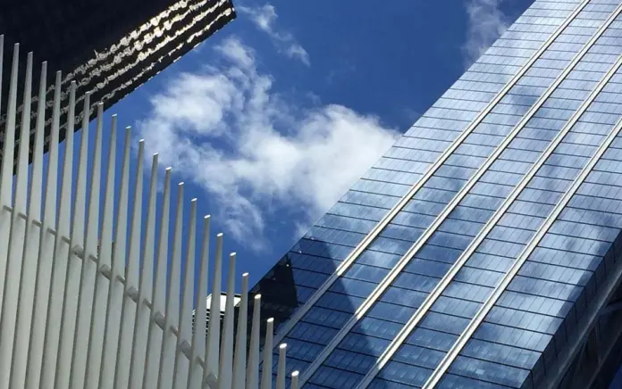 Acción social de responsabilidad por infracción tributaria (I)