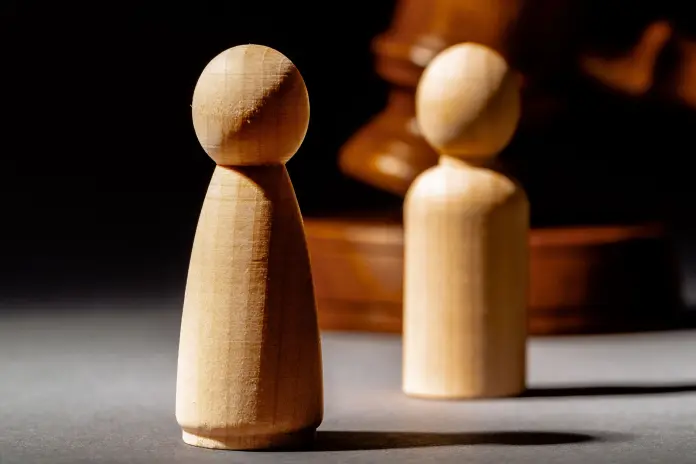 Acción social de responsabilidad por infracción tributaria (II)