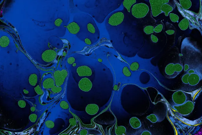 Changes to antimicrobials