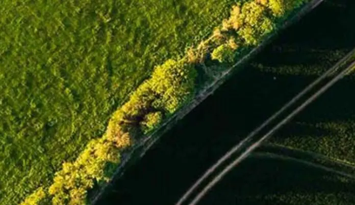 Aprobación de la Omnibus I