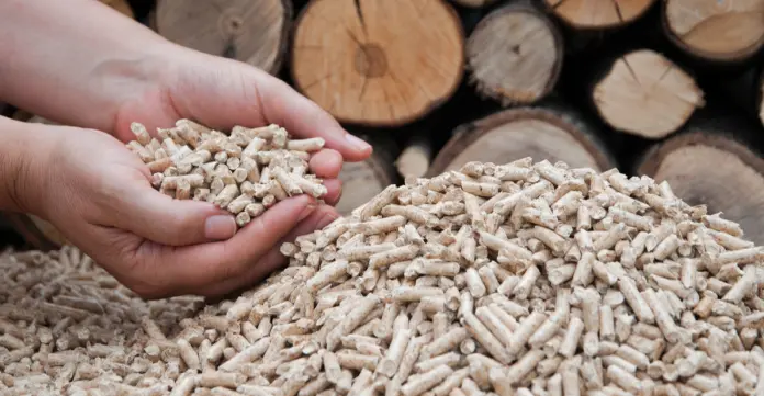 Ashmore invierte en Bioena: implementarán la primera planta de pellets de madera en Colombia