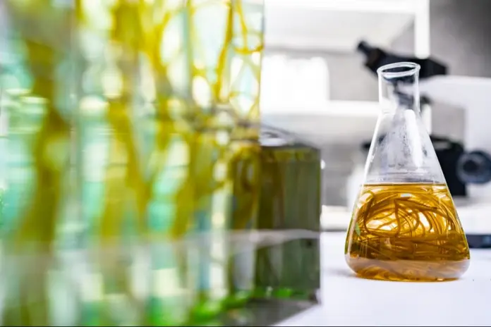 EU Judgement on Public Access to Information Regarding Biocides