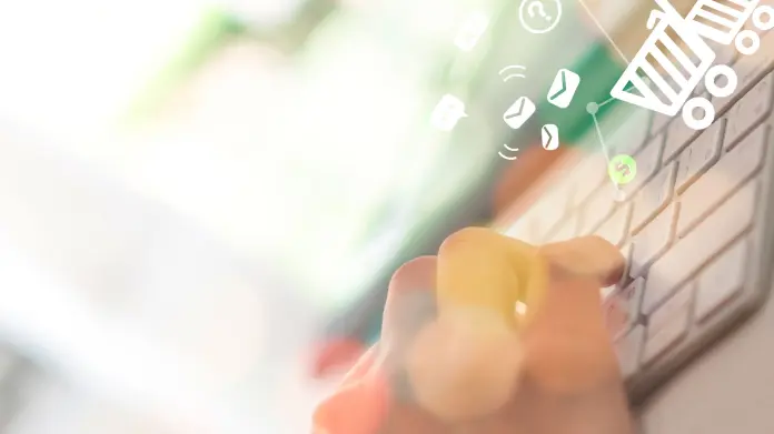 Lista de Vigilancia de la Falsificación y la Piratería