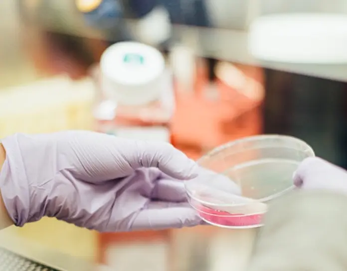 Consulta pública: nuevos dispositivos médicos a régimen de control sanitario