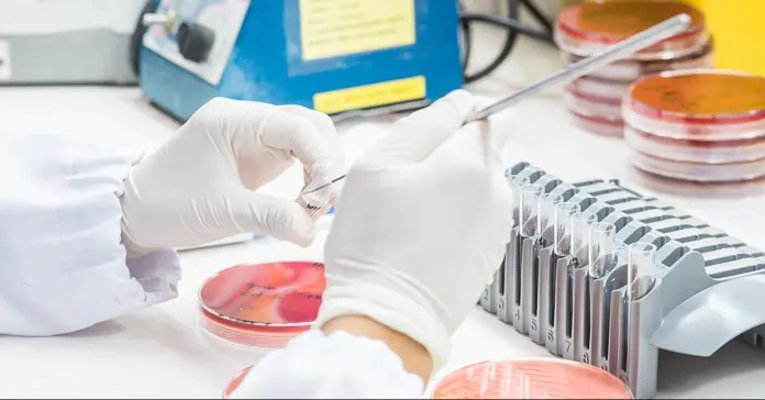 Deepull closes €50 million funding round