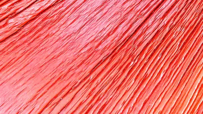 Offshore renewable energy auction