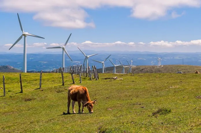 Eólica en Galicia: relevante fallo del Tribunal de Justicia de la Unión Europea