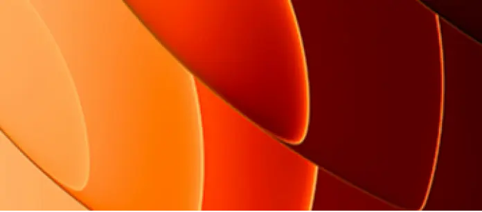 España. ¿Qué ha pasado en 2025?