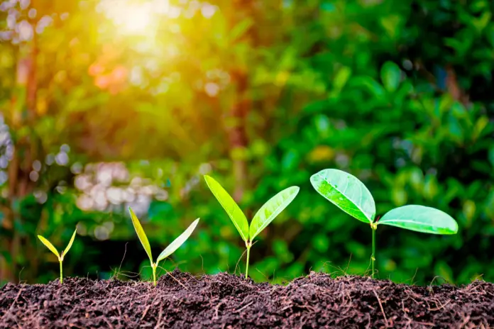 Regime jurídico do mercado voluntário de carbono