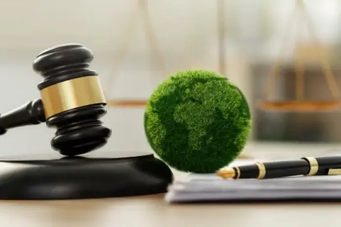 Nova diretiva penal: uma oportunidade de liderança ambiental? | Portugal