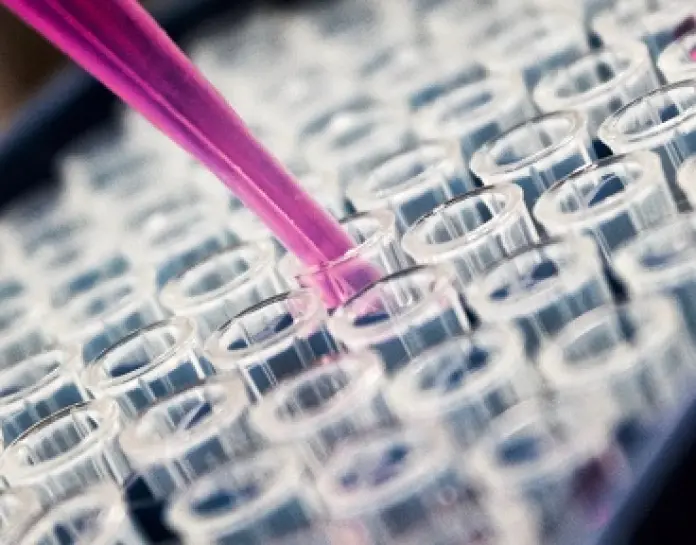 New Clinical Trials Law