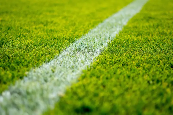 Las Cámaras Nacionales para la Resolución de Disputas y sus competencias