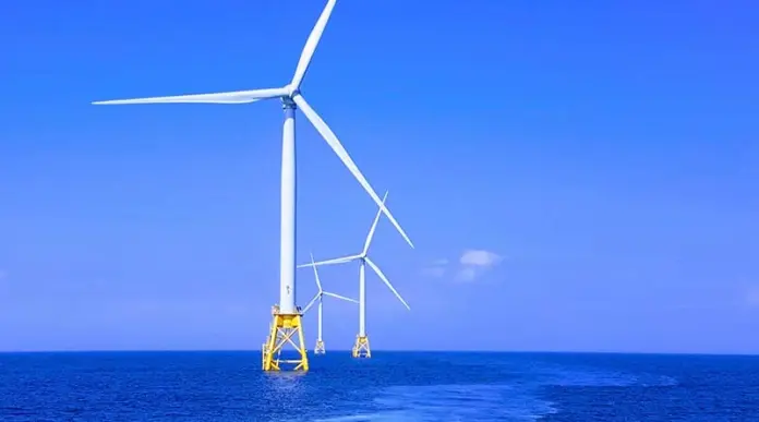 Viana do Castelo TFZ requirements