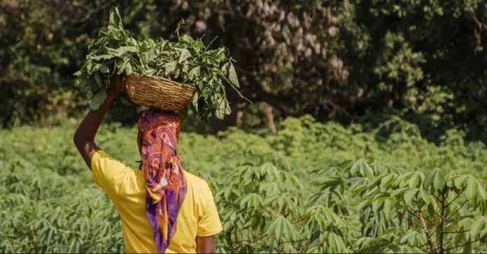 Fundación Bancolombia y Corporación Interactuar se unen para impulsar el microcrédito