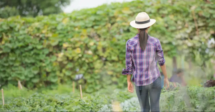 Fundación Bancolombia y Corporación Interactuar se unen para impulsar el microcrédito