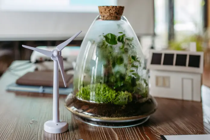 Galicia crea su propio sistema voluntario de créditos de carbono