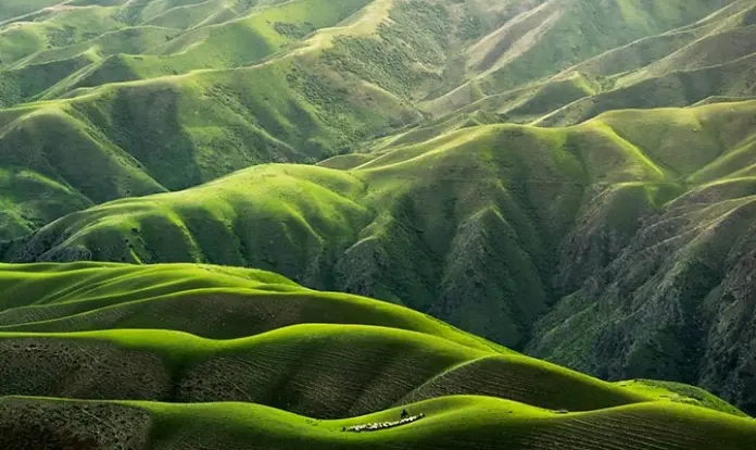 Hacia una simplificación de la información de sostenibilidad