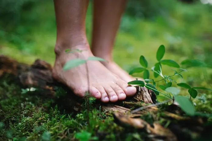 Nueva normativa en materia de huella de carbono en España