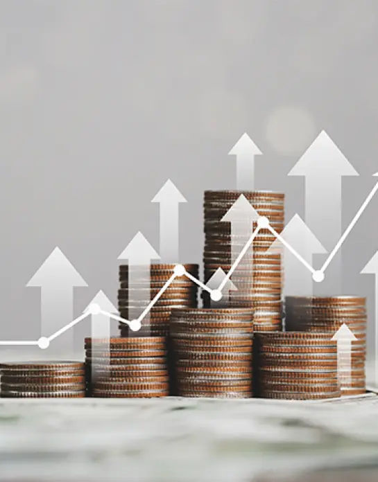 Koppernaes Protein changes credit with DNB Bank for its subsidiaries Lota Vedde and Lota Protein