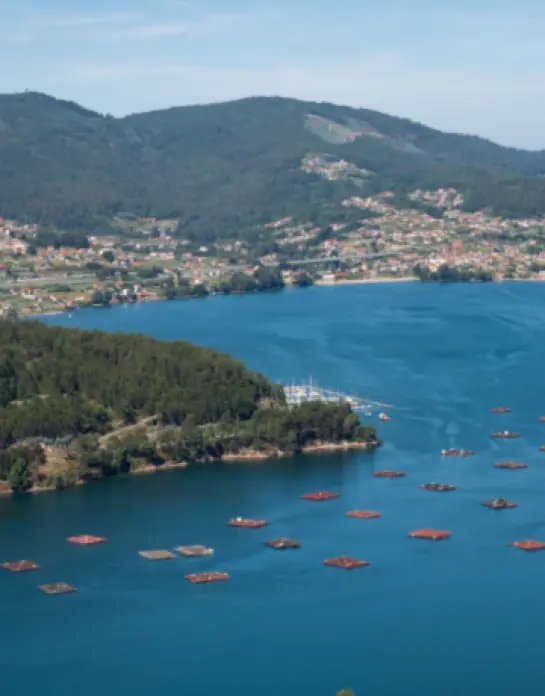 El TSJ Galicia rechaza cómputos retroactivos de prórrogas extraordinarias de concesiones de costas