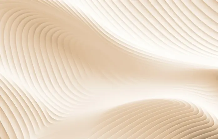 Newsletter Laboral | 1° Bimestre 2025