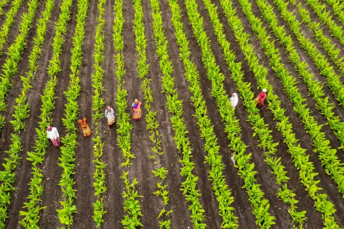 Novedades en el contrato temporal por circunstancias de la producción