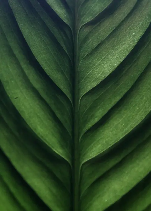 Novedades en gestión de riesgos ASG según la C.E. 015 de 2025