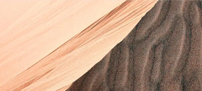 Nueva Ley Agraria: régimen especial y beneficios tributarios