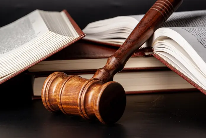 La novación de la obligación garantizada en la fianza