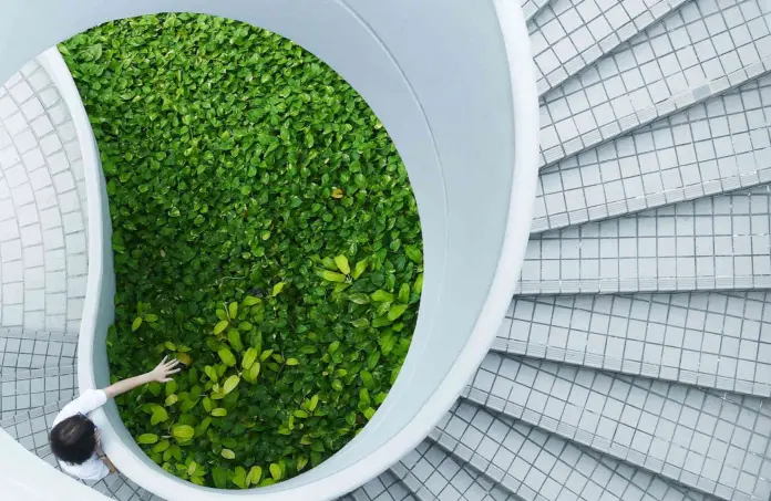 Ómnibus I. La Comisión aprueba la simplificación de la taxonomía