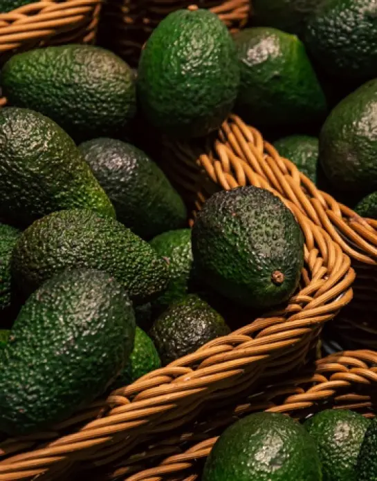 Liechtenstein Group commits to sustainable avocado cultivation in Spain