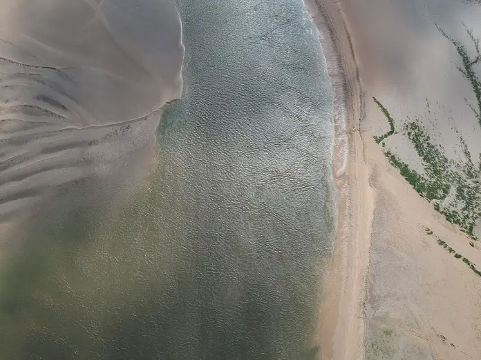 Pisciculturas: Nuevo reglamento para el manejo de lodos