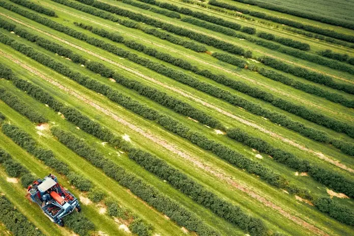 Modifications to the Plant Health Law in Spain