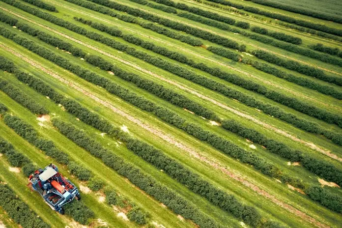 Modifications to the Plant Health Law in Spain