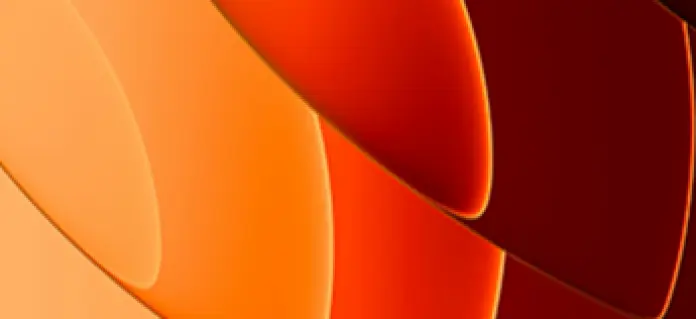 Portugal. O que se passou em 2025?