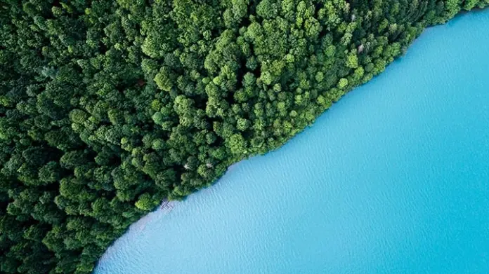 First voluntary carbon market methodology