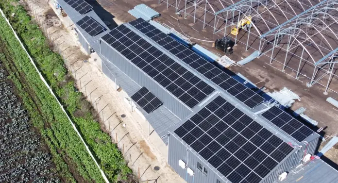 Propuesta de modificación del decreto supremo 88