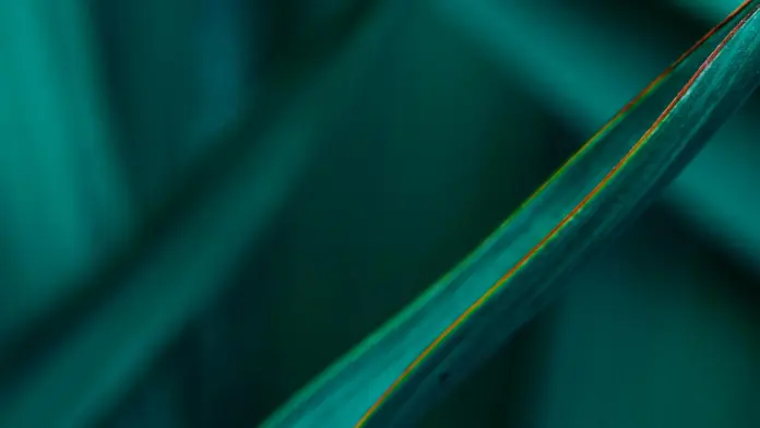 Proyecto de Reglamento de la Ley de Fomento del Hidrógeno Verde