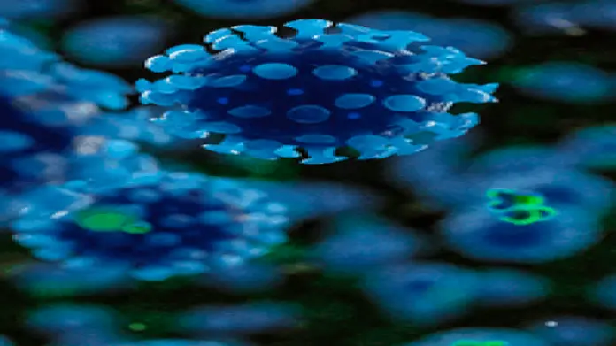 COVID-19: Data protection during the pandemic