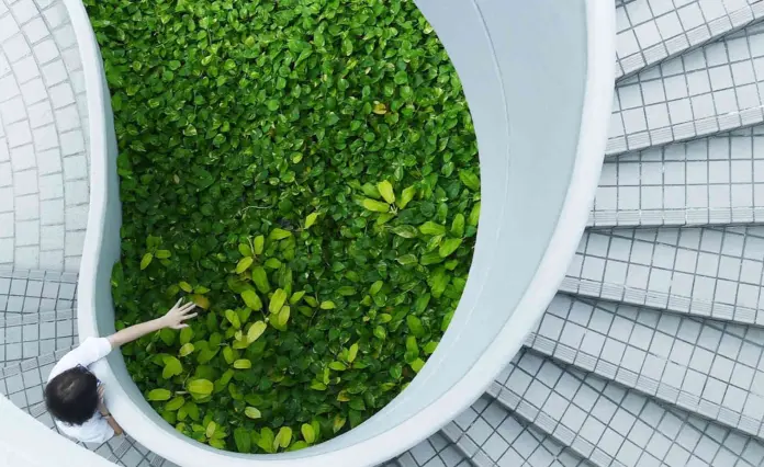 Reglamento para la dictación de normas de calidad ambiental y de emisión