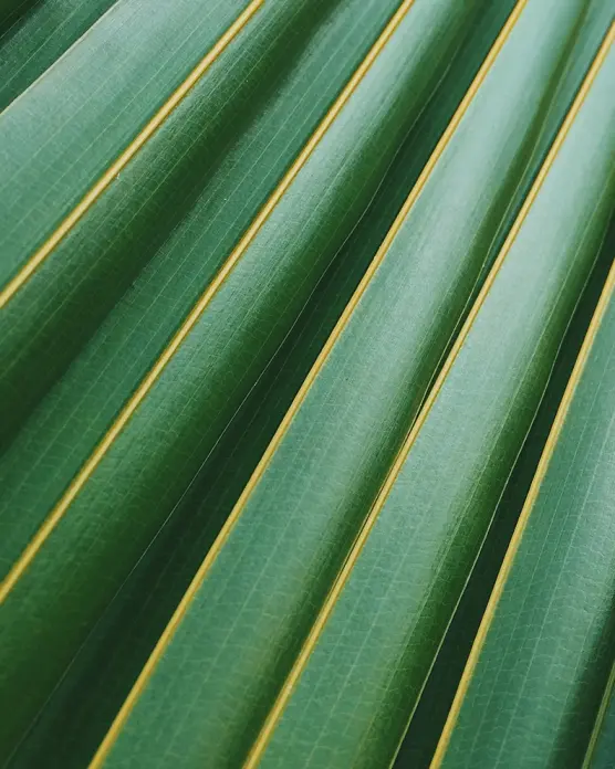 European Union Ecolabel: Quality and sustainability